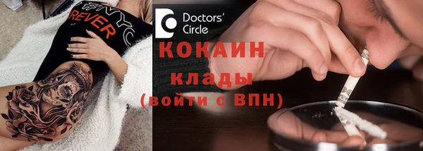 индика Беломорск