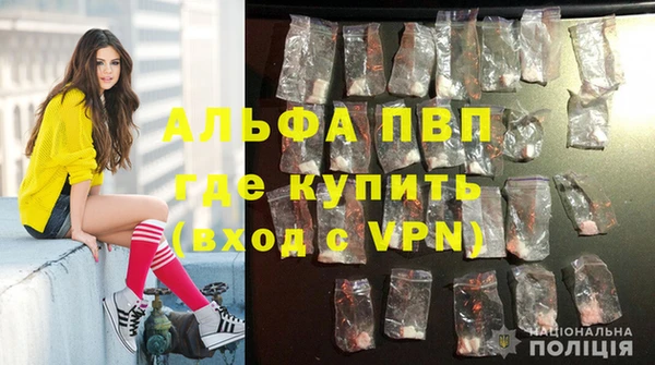 скорость Белокуриха