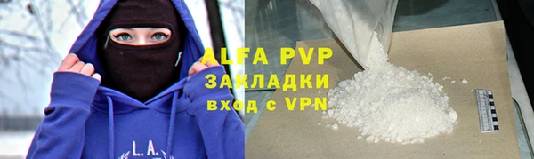 индика Беломорск