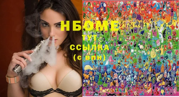 индика Беломорск