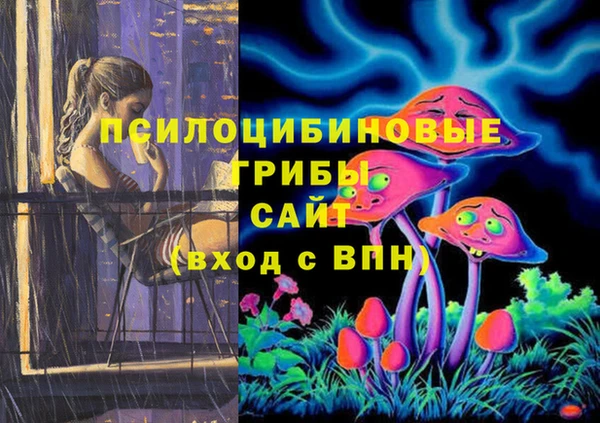 индика Беломорск