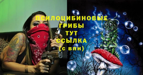 скорость Белокуриха