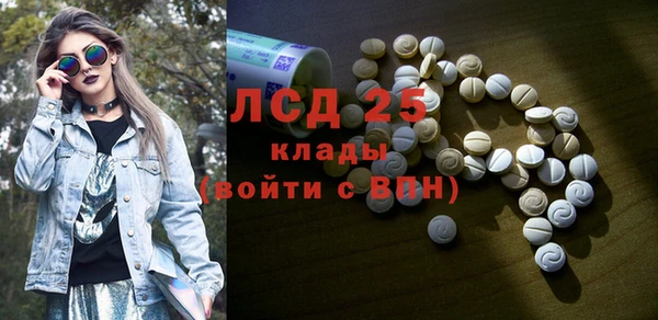 индика Беломорск