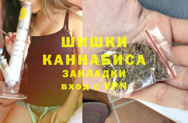 индика Беломорск