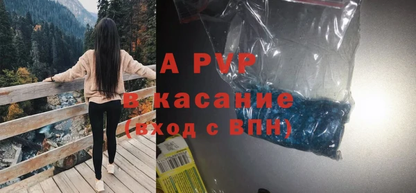 индика Беломорск
