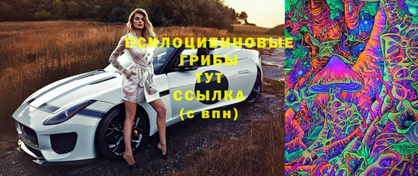 ECSTASY Белоозёрский
